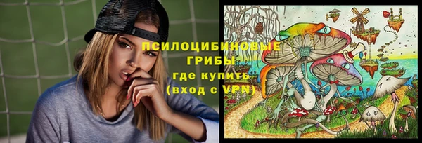 сатива Абинск